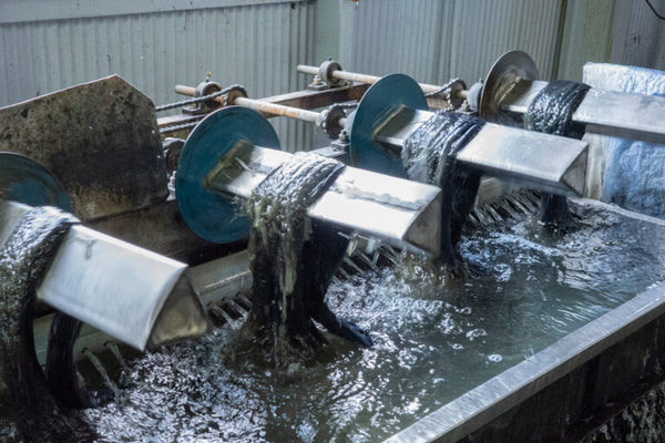 indigo bath