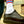 model wearing socks on shoes