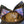 Denim Jeans persimmon