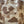 Light Tan Frog Skin Shorts