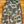 Frog Skin Shorts