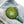 Vintage green button with a logo on a denim background