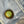 Green button with a cross design on denim fabric