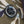 fly Button