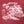 Left Field x Rockaway Beach Surf Club Cotton Maroon Crew (check sizing specs)
